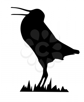 Royalty Free Clipart Image of a Snipe