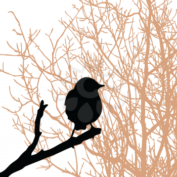 Royalty Free Clipart Image of a Bird on a Branch