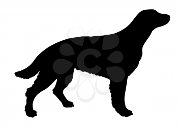 Royalty Free Clipart Image of a Dog