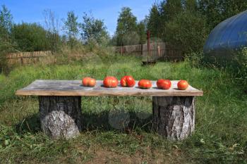 ripe tomatoes on wooden bench