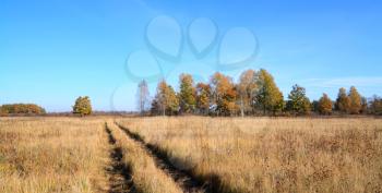 rural road on autumn field