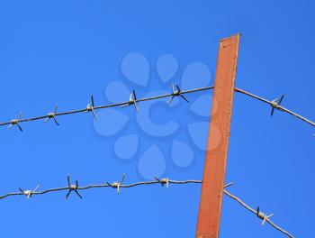 barbed wire on  blue background