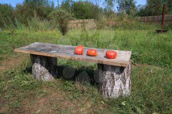 red tomatoes on wooden bench