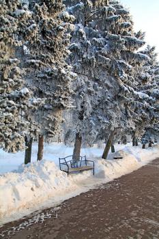 bench in winter park