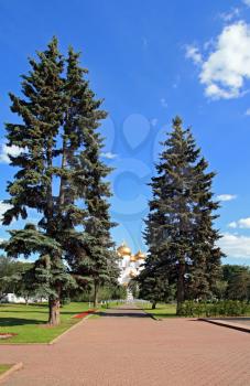 path in park