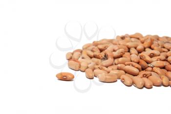 bean on white background