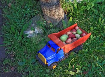 apple in basket toy car