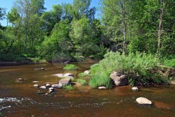 mountain river amongst green tree