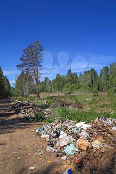 garbage pit in pine wood