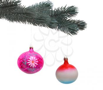 Branch spruce decorated with balloons on a white background.                    
