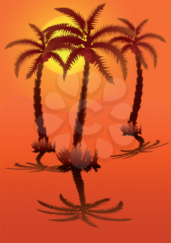 Palm tree against the orange sky with the sun, file EPS.8 illustration.
