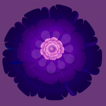 Abstract flowers, EPS10 - vector graphics.