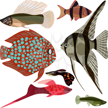 Collection exotic aquarium fishes, EPS10 - vector graphics.