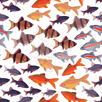Seamless pattern fishes aquarium barbs, EPS10 - vector graphics.