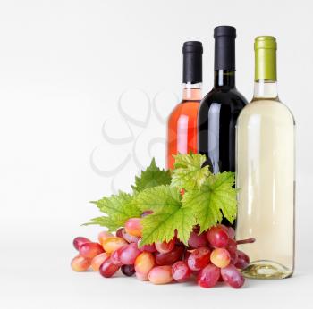 bottles of wine and grapes