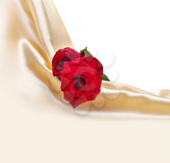 red roses on silk background