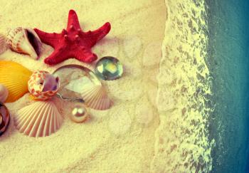 Sea shells on sand beach. Vintage style.