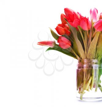 Bouquet of red tulip flowers.