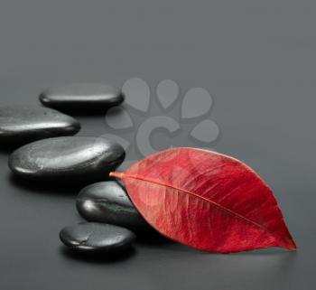 black stones with autumn red leaf