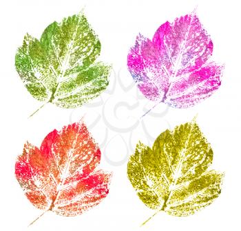 collection of stamp of leaf isolated on white