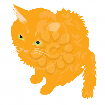 Royalty Free Clipart Image of an Orange Cat