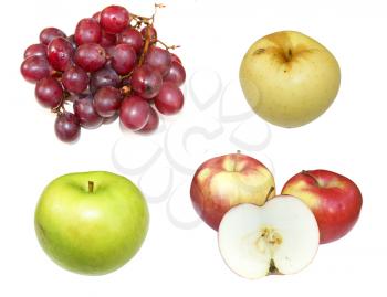 Much fresh fruits on white background is insulated