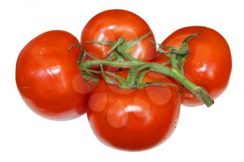 Ripe tomatoes on white background is insulated