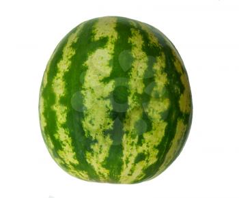 Ripe watermelon on white background is insulated