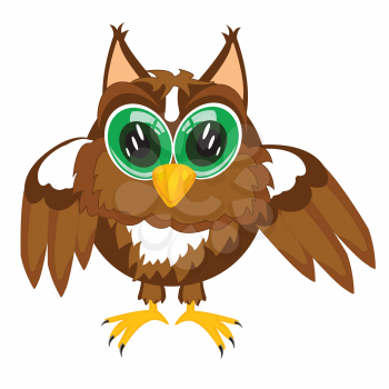 Vector illustration of the owl on white background