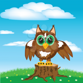 Bird owl on glade year daytime.Cartoon of the owl