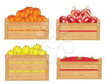 Boxes with fruit and berry on white background