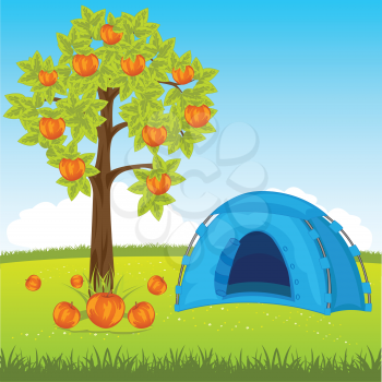 The Tent on year meadow under aple tree.Vector illustration