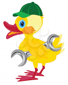 Cartoon duckling in cap and with key on white background