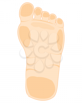 Foot right leg bottom view low poly polygon.