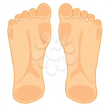 Illustration of the heels of the person on white background is insulated