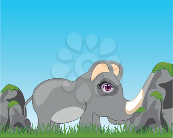The African animal rhinoceros on glade.Vector illustration