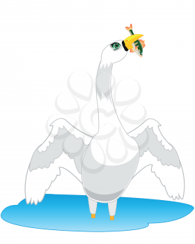 The Bird swan in water goes fishing.Vector illustration