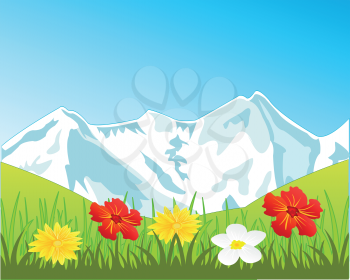 Alpine glade with flower and mountains covered by snow