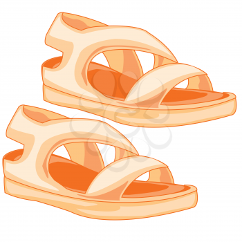 Year footwear sandals on white background is insulated