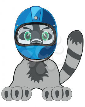Cartoon pets cat in defensive helmet on white background is insulated