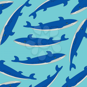 Fish whale on turn blue background is insulated