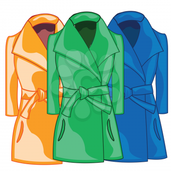 Vector illustration of the feminine cloth coat varied colour