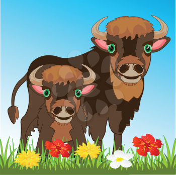 Vector illustration of the bison with tot on glade with flower