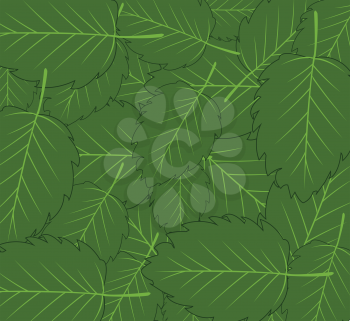Vector illustration of the decorative background from green foliage tree