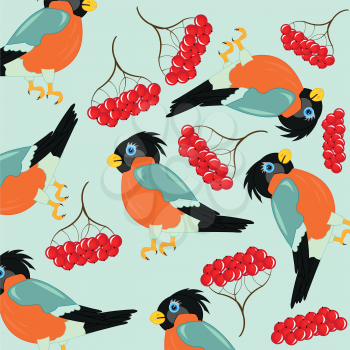 Bird and berry rowanberry on white background