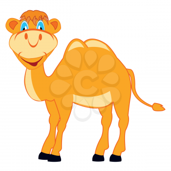 Cartoon of the camel on white background is insulated