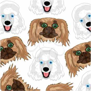 Vector illustration of the mug of the dogs poodle and pekingese decorative pattern