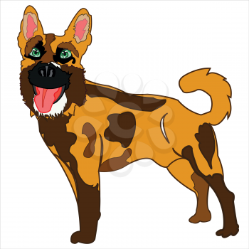Vector illustration of the dog of the sort sheep dog