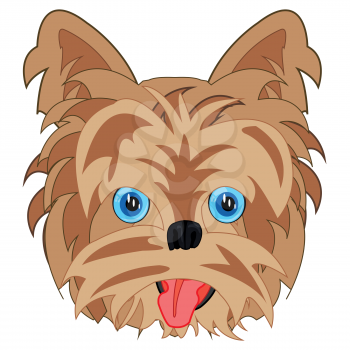 Vector illustration of the portrait of the sort yorkshire terrier