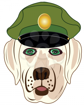 Head of the dog of the sort in service cap military